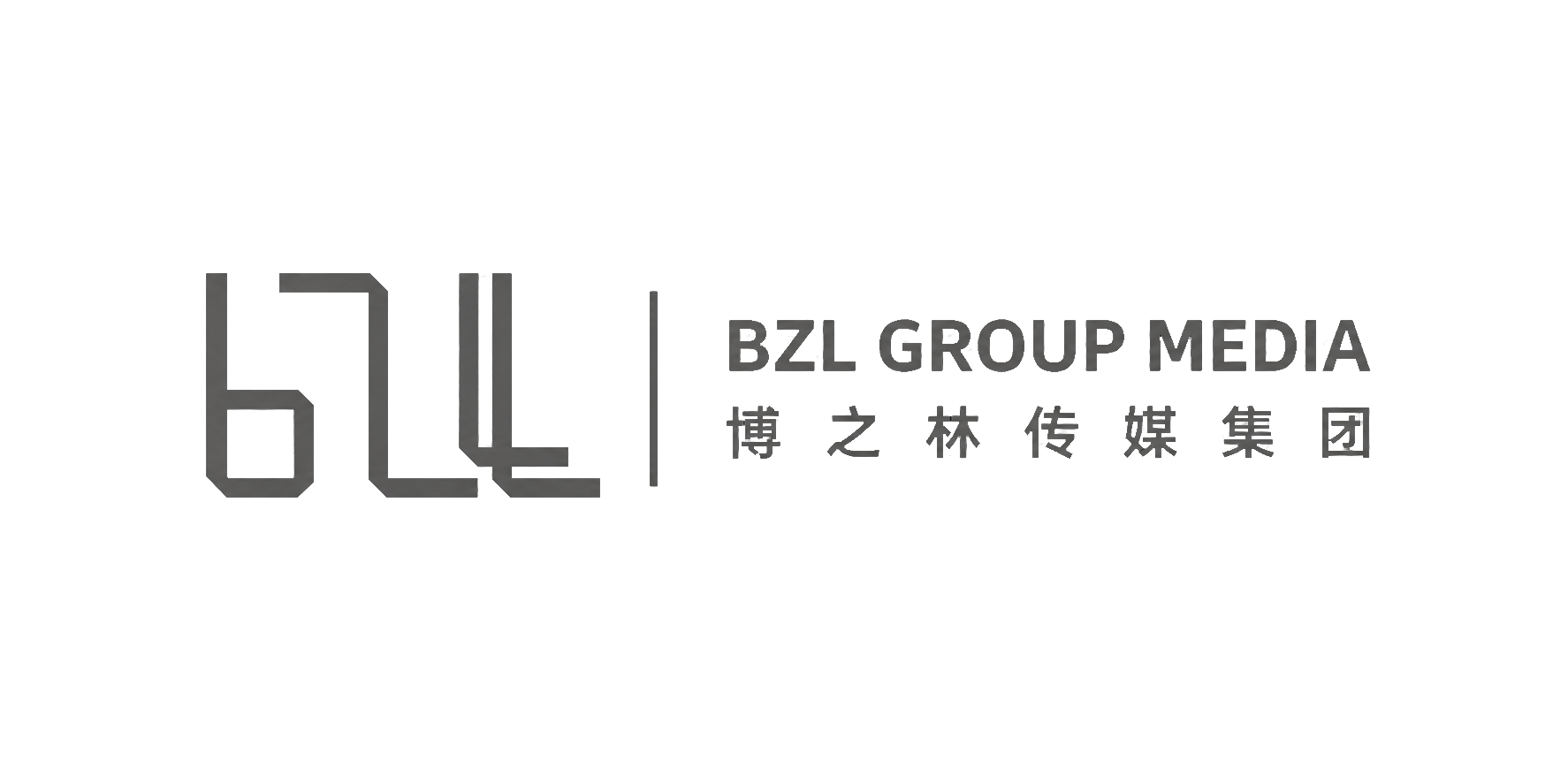 B.Z.L Group Media